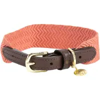 Kentucky Dogwear - Jacquard Hondenhalsband - Terracotta - Maat M/L - 58cm - Hondenriem