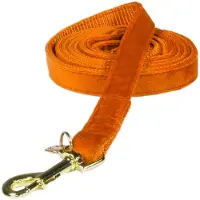 Kentucky Dogwear - Hondenlijn - Maat S - Velvet - Oranje - Lengte 120 cm