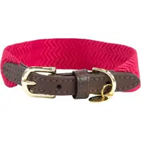 Kentucky Dogwear - Jacquard Hondenhalsband - Roze - Maat L - 62cm - Hondenriem