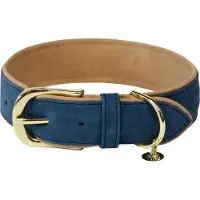 Kentucky Dogwear - Hondenhalsband - Gevlochten Nylon Hondenriem - Oranje - Maat XS (37cm)