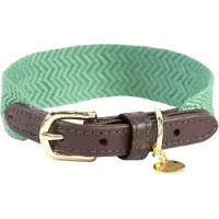 Kentucky Dogwear - Jacquard Hondenhalsband - Olijfgroen - Maat XS - 37cm - Hondenriem