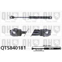 Quinton Hazell QTS840181 Gasveer motorkap