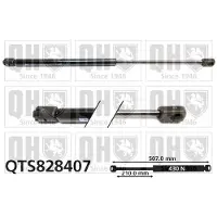Quinton Hazell QTS828407 Gasveer achterklep