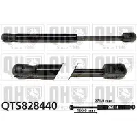 Quinton Hazell QTS828440 Gasveer achterklep