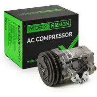 RIDEX 447K0281R Aircopomp