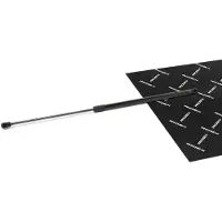 RIDEX 219G1105 Gasveer achterklep