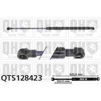 Quinton Hazell QTS128423 Gasveer achterklep