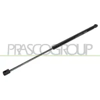 PRASCO VG0239055 Gasveer achterklep