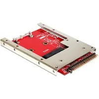 DeLOCK 62495 Interfaceconverter [1x IDE-stekker 44-polig - 1x mSATA]