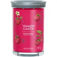 Yankee candle - Red Raspberry Large Tumbler Geurkaars - 100 branduren - twee lonten