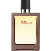 Hermès Paris Terre d'eau de toilette travel spray 30 ml (navulbaar)