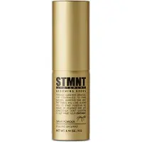STMNT Staygold Collection Spray Powder Extra Matte Finish Haarpoeder 4 g