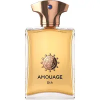 Amouage Collections The Main Collection Dia ManEau de Parfum Spray