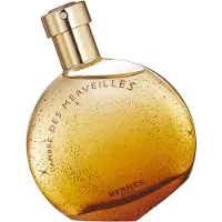 Hermès Paris L'Ambre des Merveilles eau de parfum spray 50 ml