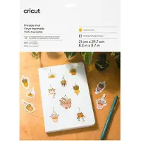 Cricut Printbaar Vinyl Goud A4 (10 vellen)