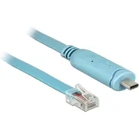 DeLOCK USB C naar RJ45 kabel -