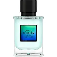 David Beckham True Instinct EDP 50 ml