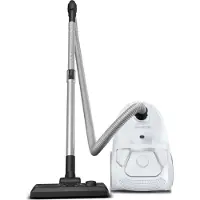 Rowenta RO3957 Compact Power, parketmodel, wit
