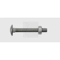 Swg 22662567 Platbolkopschroef 6 mm 25 mm Buitenzeskant DIN 603 RVS A2 50 stuk(s)