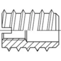 Toolcraft 144033 Rampamoer M6 20 mm Staal 100 stuk(s)
