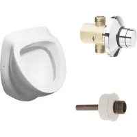 Sapho Urinoir set isvea met drukplaat en afvoer wit