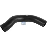 DT Spare Parts 2.15113 Radiateurslang
