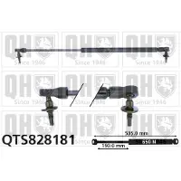 Quinton Hazell QTS828181 Gasveer achterklep
