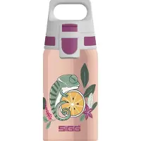 SIGG Children's 0.5L Shield One Flora Stainless Steel Bottle || Maat: 500