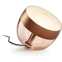 Philips Hue Iris White and Color Special Edition Koper