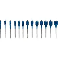Bosch Accesorios Profesional - EXPERT Self Cut Speed speedboorset 10/12/13/14/16/18/20/22/24/25/28/30/32 mm 13-delig