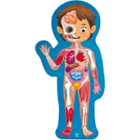 Hape Mensenlichaam Puzzel - 61-delig anatomie puzzel met 3D organen en poster, vanaf 3 jaar
