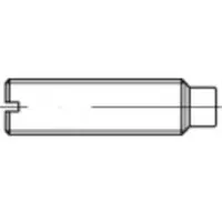 Toolcraft 106449 Stifttap M5 25 mm Staal 100 stuk(s)