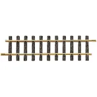 Lgb G rails 10000 Rechte rails 300 mm 1 stuk(s)