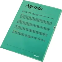 Esselte zichtmap groen A4 105 micron (100 stuks)