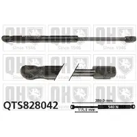 Quinton Hazell QTS828042 Gasveer achterklep