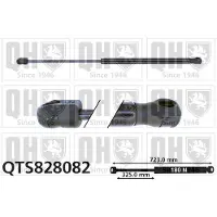 Quinton Hazell QTS828082 Gasveer motorkap