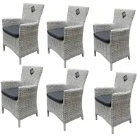 AVH-Collectie Capri dining tuinstoel wit grijs wicker set van 6