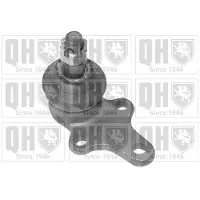 Quinton Hazell QSJ9188S Fuseekogel