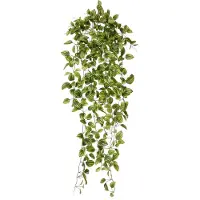 Maxifleur Kunstplanten Peperomia Kunsthangplant bont 90cm