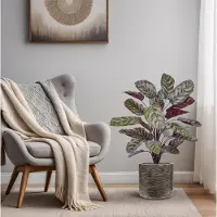 Maxifleur Kunstplanten Red Calathea Makoyana 75cm Kunstplant Deluxe