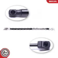 ESEN SKV 52SKV781 Gasveer achterklep