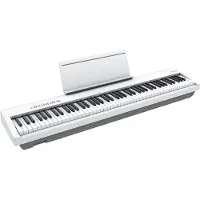 Roland FP-30X wit