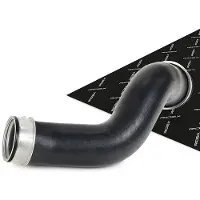 RIDEX 3314C0173 Laadluchtslang