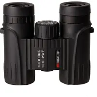 Braun 10x32 WP verrekijker Zwart