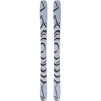 Salomon - Ski's - Qst 100 Cosmic Sky 2027 voor Heren van Hout - Maat 188 cm - Grijs