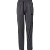 Adidas Sportbroek grijs / zwart