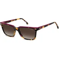 Carrera 3056/S Havana plum 55/17/140 WOMAN Zonnebrillen
