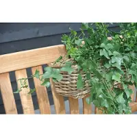 LeopoldFlora Kunststof hangplant klimop 65 cm UV