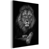 MuchoWow Aluminium schilderij 60x80 cm - Wanddecoratie metaal - Leeuw - Dieren - Zwart - Wit - Metalen muurdecoratie woonkamer - Decoratie industrieel - Foto op dibond - Industriële accessoires slaapkamer