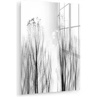 MuchoWow Glasschilderij 120x160 cm - Schilderij acrylglas - Bomen - Zwart wit - Vogels - Natuur - Foto op glas - Muurdecoratie woonkamer - Wanddecoratie slaapkamer - Schilderijen